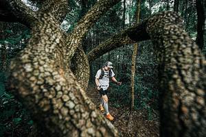 BIB: 
                            <button type="button" onclick="openModal(25394094)" class="btn btn-primary btn-sm float-right btn-popup" data-toggle="modal" data-target=".modal-high-quality">
                        <i class="fas fa-shopping-cart"></i> Add to Cart
                    </button>
                                            <button type="button" onclick="isThisMe(25394094, true)" class="btn btn-success btn-sm float-right btn-popup btn-isme hidden" data-toggle="tooltip" data-placement="bottom" title="นี่คือรูปของคุณใช่ไหม คลิกที่นี่เพื่อเอาเข้าอัลบั้ม">
                        <i class="fas fa-plus"></i> Add to album
                    </button>
                    <button type="button" onclick="isThisMe(25394094, false)" class="btn btn-warning btn-sm float-right btn-popup btn-isnotme hidden">
                        <i class="fas fa-ban"></i> Remove from album
                    </button>